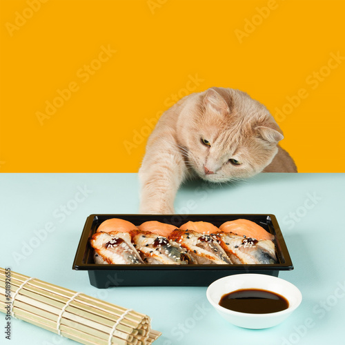 cat reaches for sushi