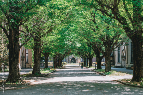 東京大学 休日の本郷キャンパス
