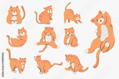 Playful cute fat cats item cartoon characters illustrations cat set, happy fluffy kittens