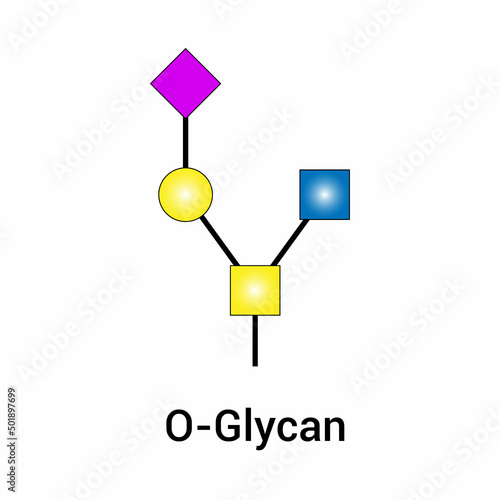 O-glycan structure vector illustration on white background photo