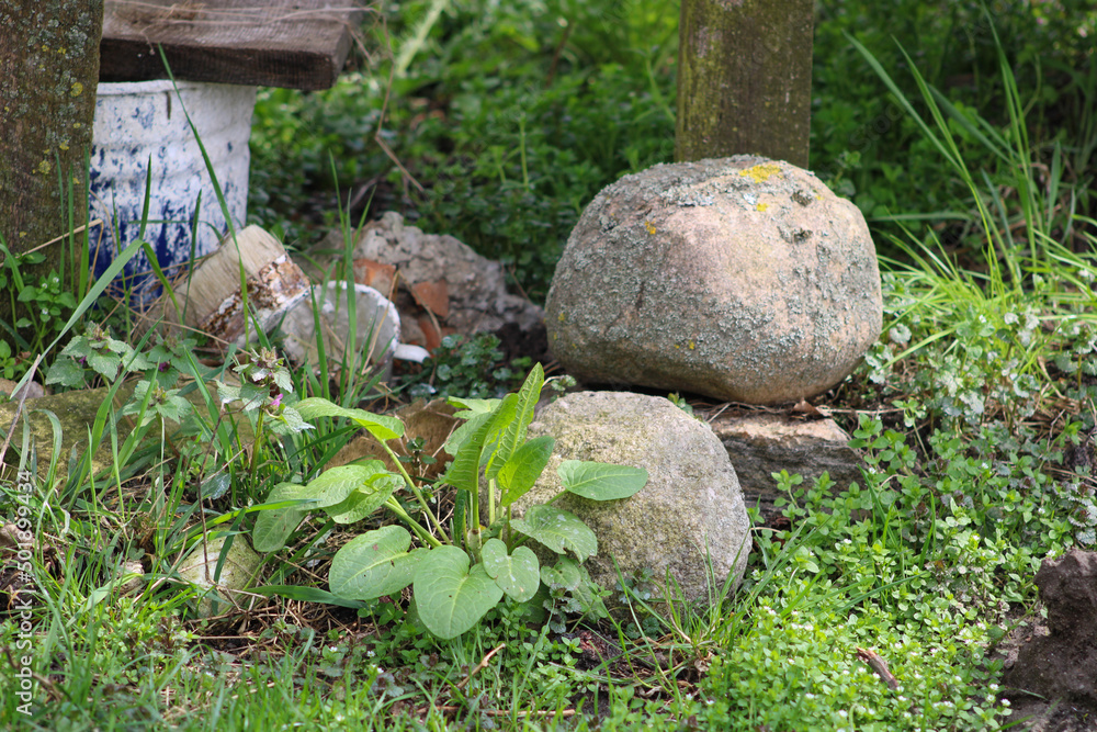 Laundry stones near an old Ukrainian house Laundry stones near an old Ukrainian house