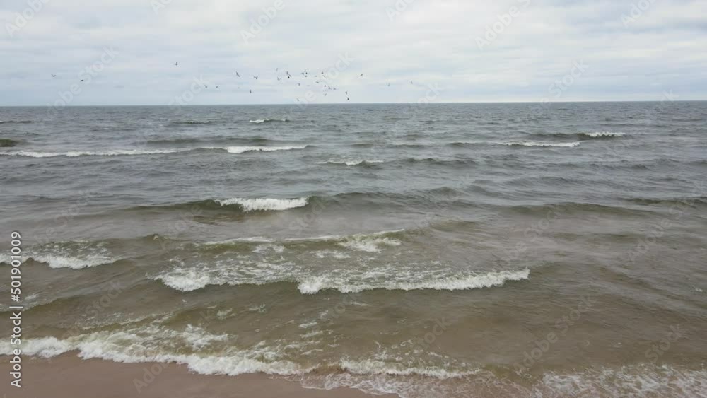 Aerial push to join a flock of Seagulls in mid flight Aerial push to join a flock of Seagulls in mid flight