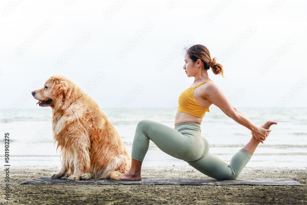 Asian young woman doing yoga on a yoga mat with a cute dog. Healthy active lifestyle concept. Relaxation with a pet.