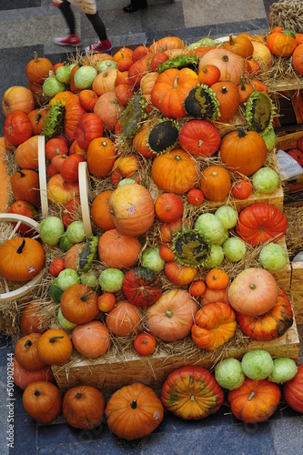citrouilles, légumes