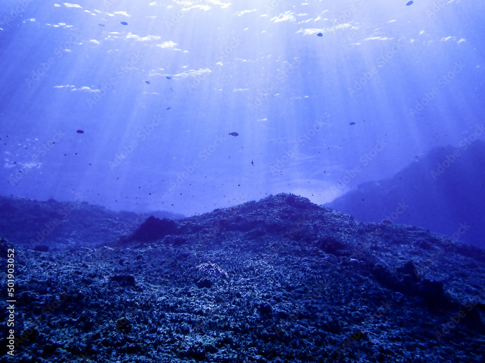 Underwater in Saipan, Mariana Islands Underwater in Saipan, Mariana Islands