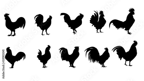 Set of rooster silhouette, hen, monochrome color