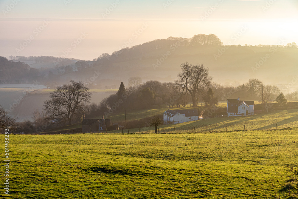 Obraz premium Winter in the Forest of Dean - Early morning light on cottages nestling below Littledean Hill, Littledean, Gloucestershire, England UK
