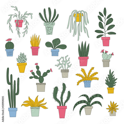 Potted plants illustrations set. Hand drawn succulents and house plants. Doodle style illustration