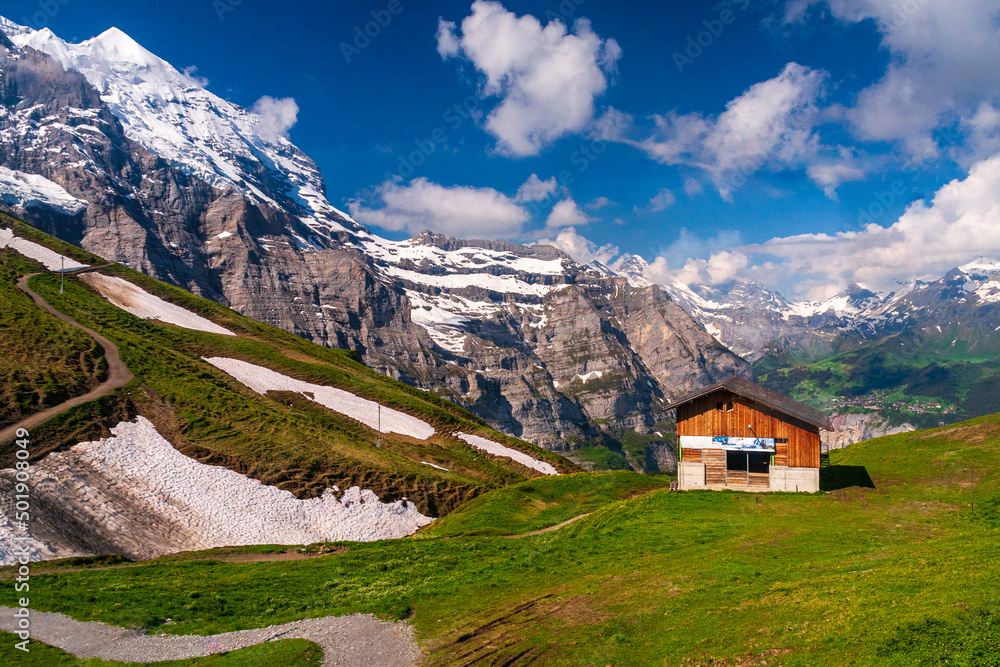 View of snow in the mountain with green grass in summer on a sunny day in switzerland, grinelward