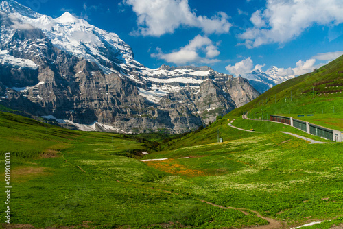 View of snow in the mountain with green grass in summer on a sunny day in switzerland  grinelward