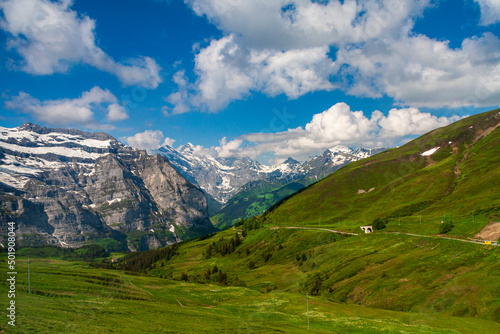 Wallpaper Mural View of snow in the mountain with green grass in summer on a sunny day in switzerland, grinelward Torontodigital.ca