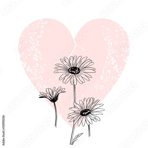 vector illustration of daisies over a pink heart.