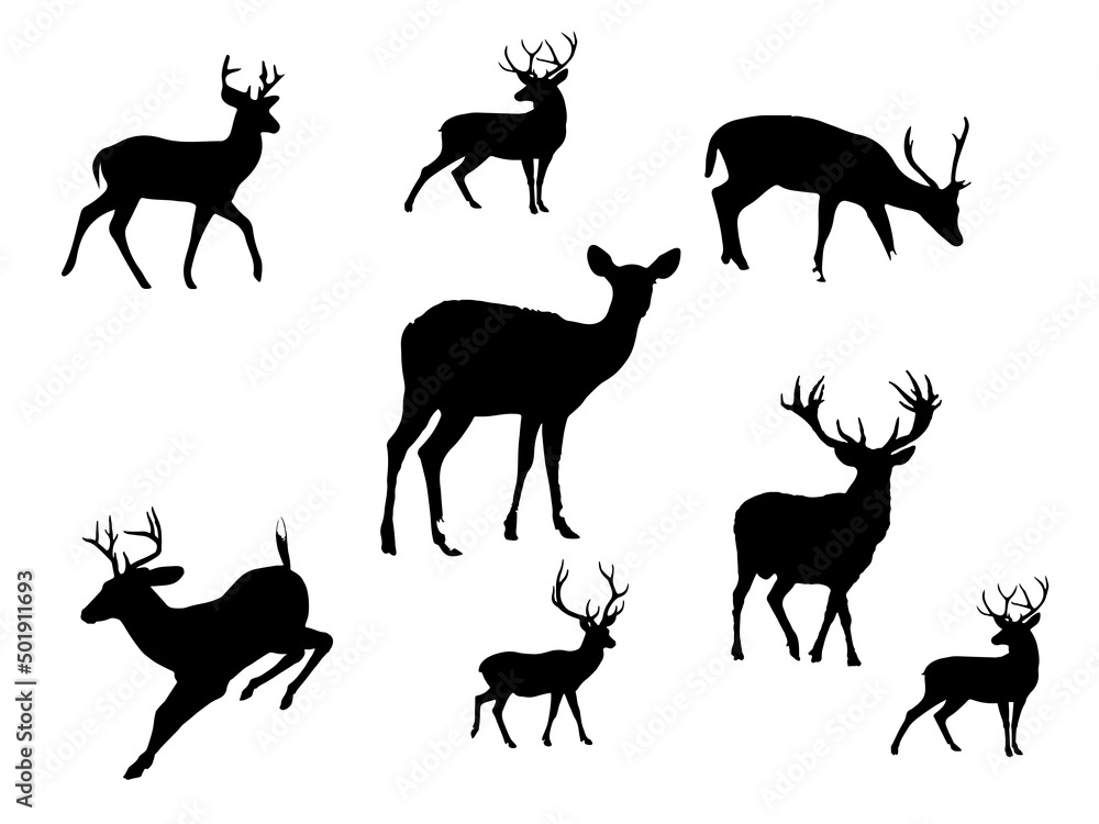 Fototapeta premium deer silhouette set