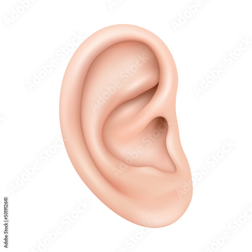 Realistic human ear isolated on white background. Human ear organ hearing health care closeup 3d realistic isolated icon design vector illustration photo