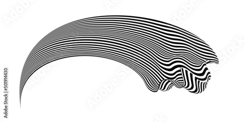 Waving flag as a brush stroke with zebra texture. Vest striped with fabric Black and white stripes curved in a bizarre way with waves curving along the trajectory