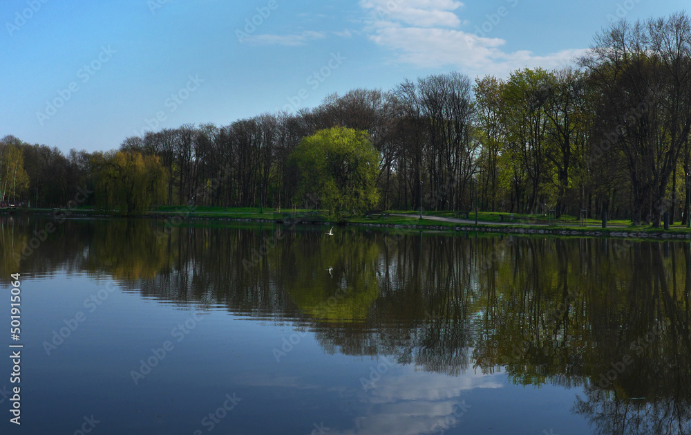 Beautiful landscape of the shore of the pond lake with the reflection of the blue sky in the water ...