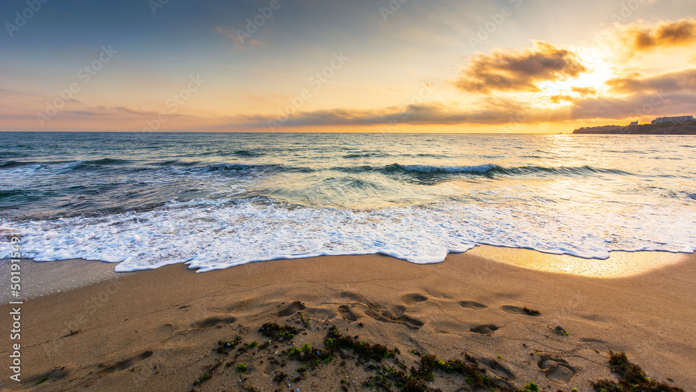 Obraz premium sandy beach at sunrise. beautiful seascape background. calm waves washing the shore. clouds glowing in morning light. summer vacation and relaxing recreation concept