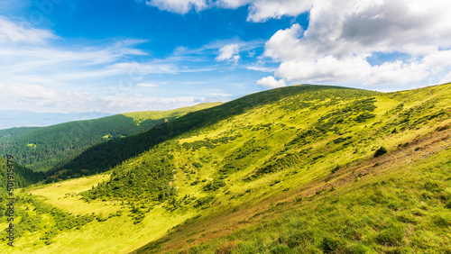 natural summer landscape with mountain valley. idyllic outdoor scenery of carpathian alps with fresh green meadows. warm sunny weather with gorgeous fluffy clouds on a blue sky © Pellinni