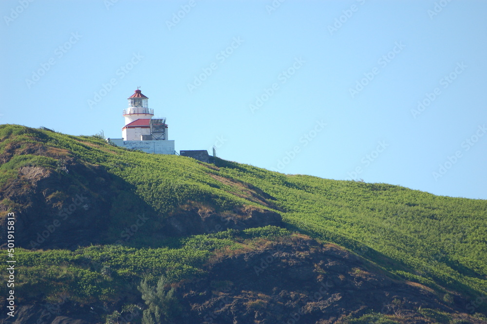 lighthouse on top of a rocky cliff overgrown with grass lighthouse on top of a rocky cliff overgrown with grass