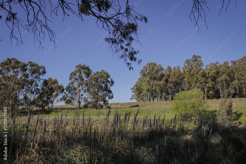 Obraz premium Quequen salado