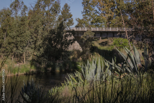 Punte, Quequen salado