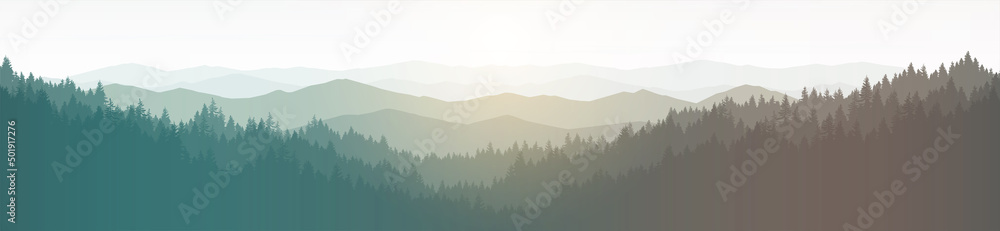 Landscape of mountains and pine forests at sunset.
 Vector Illustration of natural forest background.
