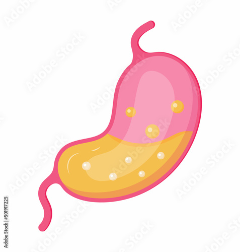 Stomach icon vector, Symbol of gut flora in healthy stomach