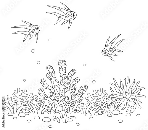 Merry small fishes and tropical corals on a reef in a southern sea, black and white vector cartoon illustration for a coloring book page