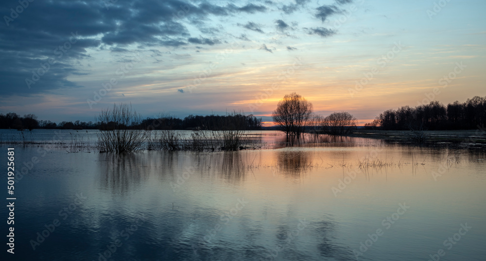 Silhouettes of trees at sunset. Dramatic evening landscape, high water. The sunset sky is reflected in the water. The river overflowed its banks.