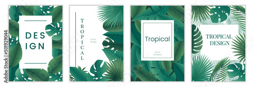 Posters with tropical leaves. Banners with exotic jungle foliage, banana palm leaves . Vector set