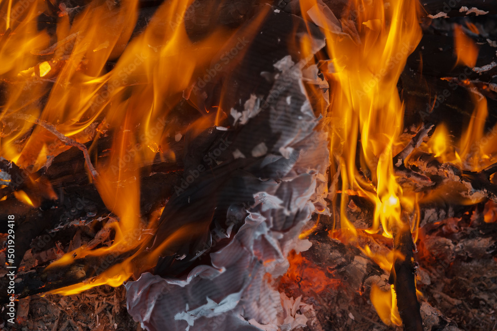 Bonfire. The flame of fire burns sheets of paper, books or documents. Elimination of evidence. Bonfire. The flame of fire burns sheets of paper, books or documents. Elimination of evidence.