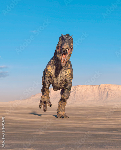 giganotosaurus is running on sunset desert front view © DM7
