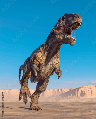 giganotosaurus is running on sunset desert