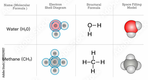 H2O, CH2. Structural chemical formula model. Water, methane anatomy. Electron shell diagram, space filling model, molecular drawing symbols. Elements, atom molecule arrangement. Illustration vector
