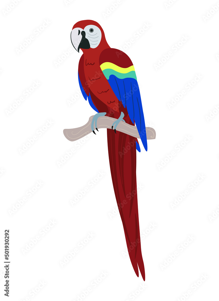 Tropical Bird. Bright parrot with red, blue and yellow feathers on a
