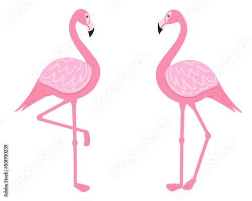 Illustration of a pair of flamingos in a flat style. Pink Flamingo. Tropical birds in vector image.