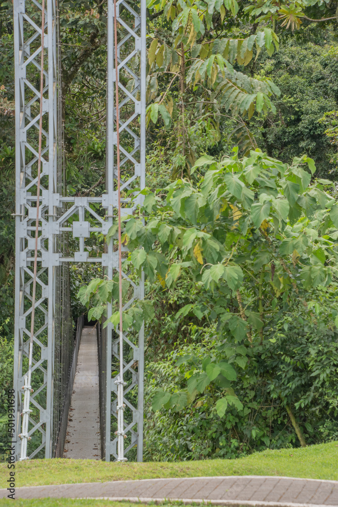 Fototapeta premium Hanging bridge in a Costa rican rainforest.