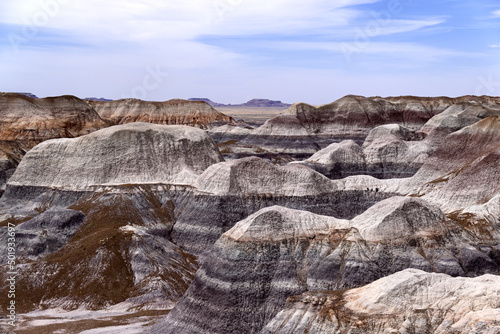 Arizona Petrified Forest - Blue Mesa Landscape