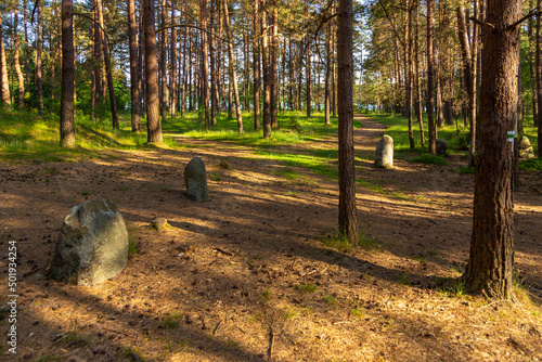 A burial ground near Wesiory village, Poland. photo