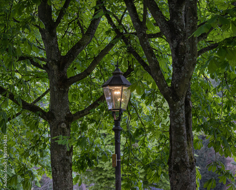 Romantic lanterns in the spa gardens of Baden Baden. Baden Wuerttemberg, Germany, Europe