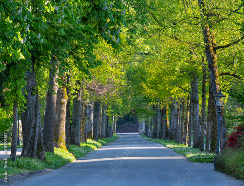 The Lichtentaler Allee in the spa gardens of Baden Baden. Baden Wuerttemberg, Germany, Europe