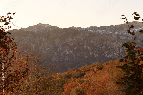 Monta  as de Asturias