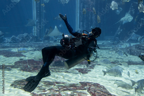 A scuba diver underwater inside an aquarium posing for the tourists