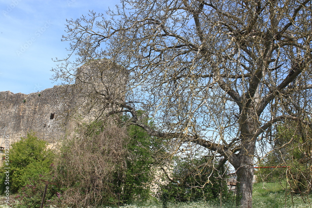 Château dans les branches