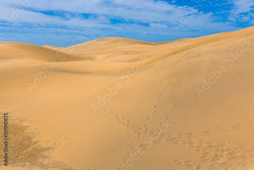 Maspalomas Duna - Desert in Canary island Gran Canaria