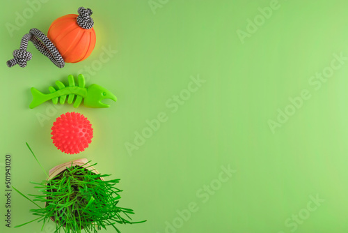 Pet toys on a green background. Nutritious herb. Top view. Copy space.
