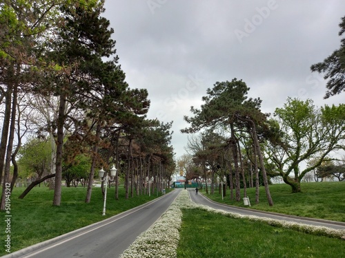 road in the park