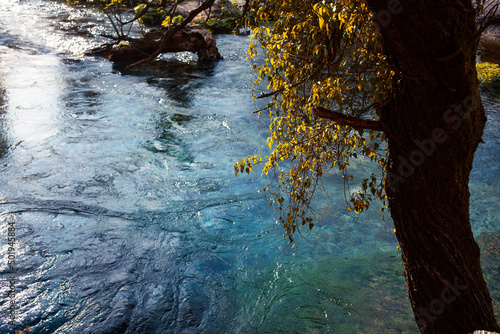 Fototapeta Naklejka Na Ścianę i Meble -  beautiful landscape with mountain river in europe, Albania