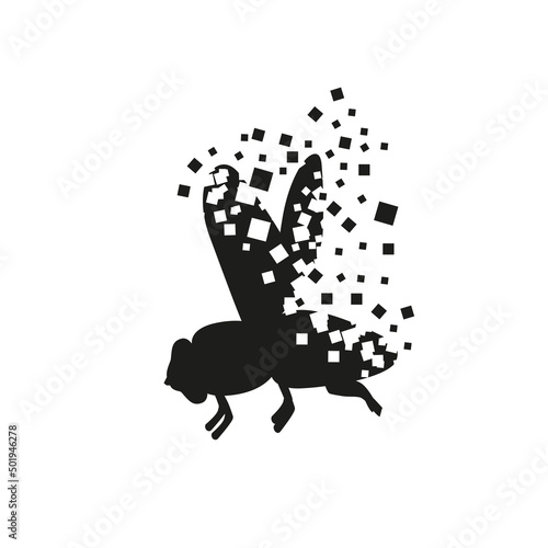 The fly turns into a cloud of squares of different sizes