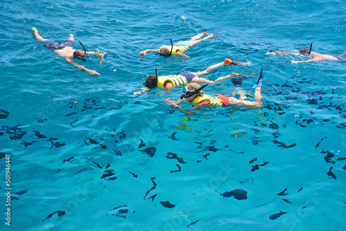 Canvas Print Feeding fish while on a snorkeling tour in the ocean off the coast of Oahu near Koolina in Hawaii